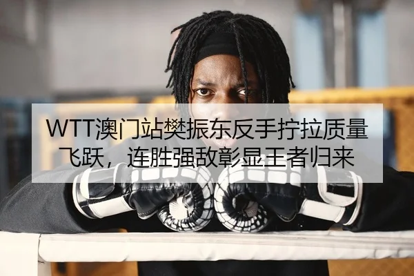WTT澳门站樊振东反手拧拉质量飞跃，连胜强敌彰显王者归来